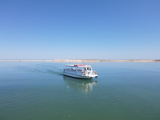 Excursion en bateau au parc naturel de Ria Formosa depuis Olhão