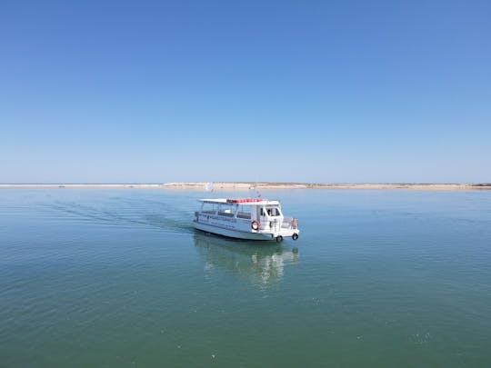 Boat tour to Ria Formosa Natural Park from Olhão