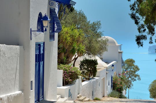 Carthage and Sidi Bou Said guided tour from Hammamet and Nabeul