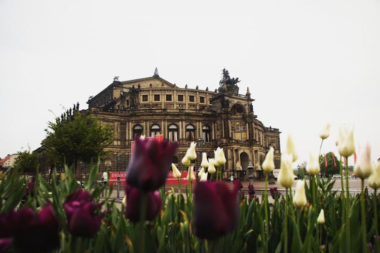 Dresden walking tour with mobile app