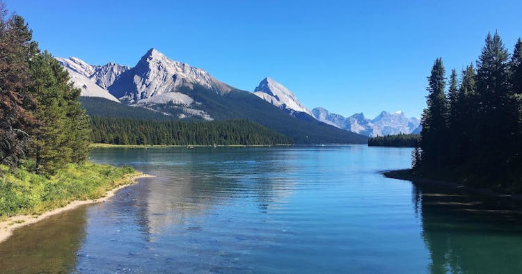 Maligne Valley wildlife and waterfalls tour with cruise