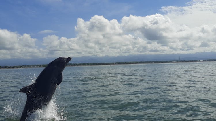 Tortuga island guided tour from Puntarenas