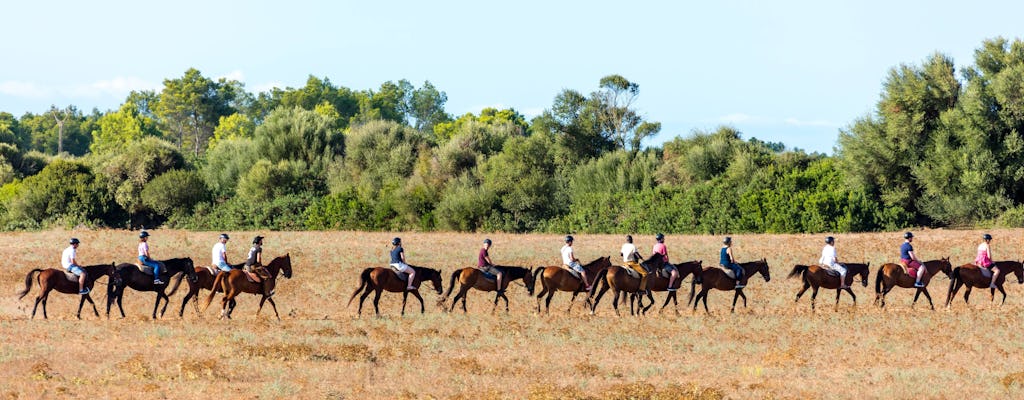 Rancho Grande Twee Uur Paardrijden