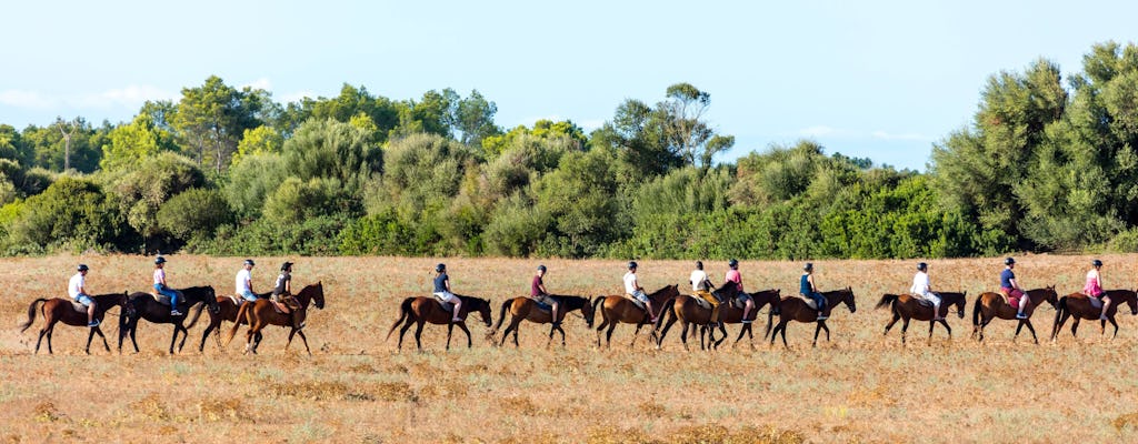 Rancho Grande two-hour horse ride with transfer
