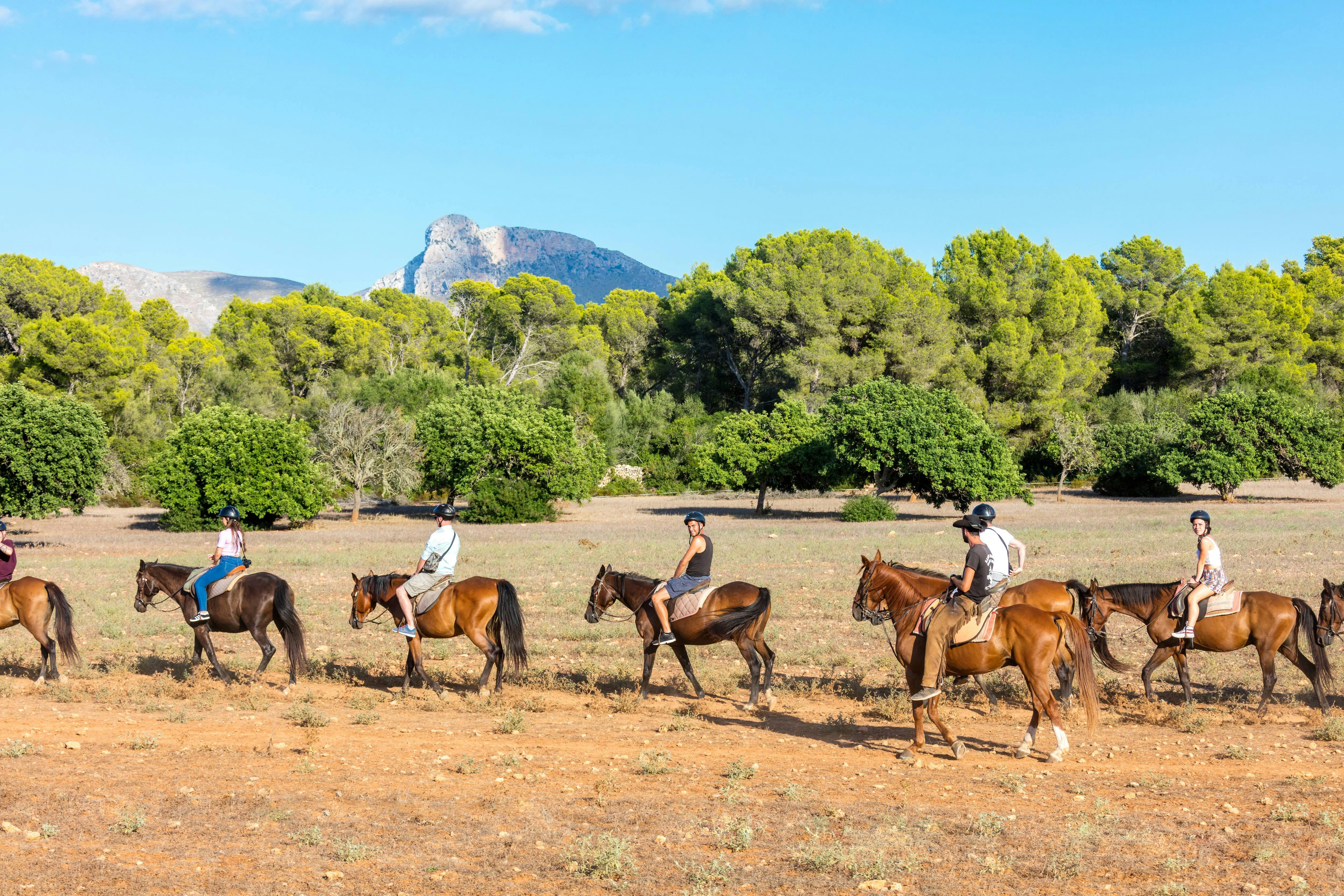 Rancho Grande Two-Hour Horse Ride