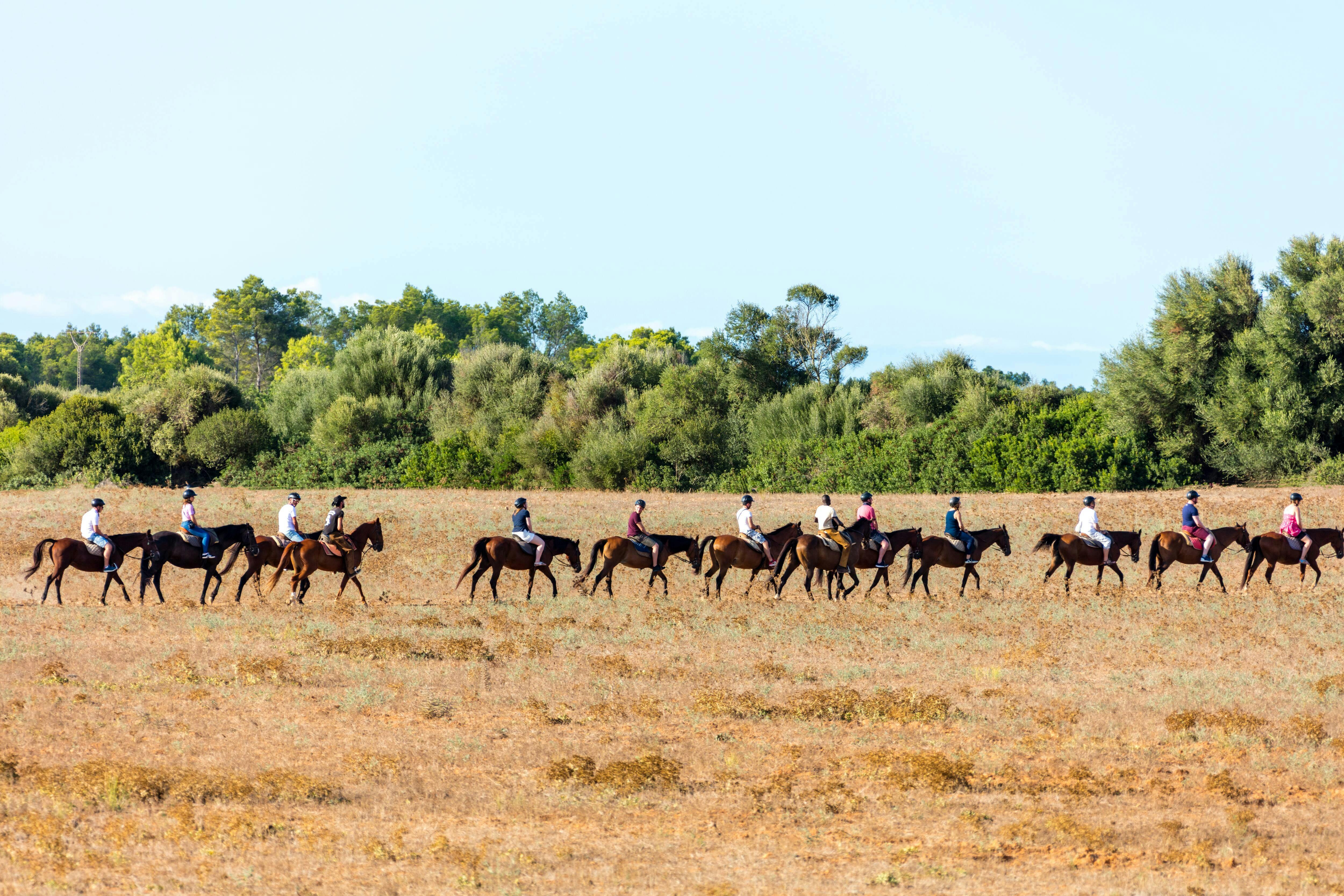 Rancho Grande two-hour horse ride without transfer