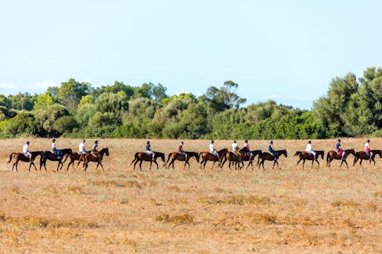 Rancho Grande to timers ridetur med transport