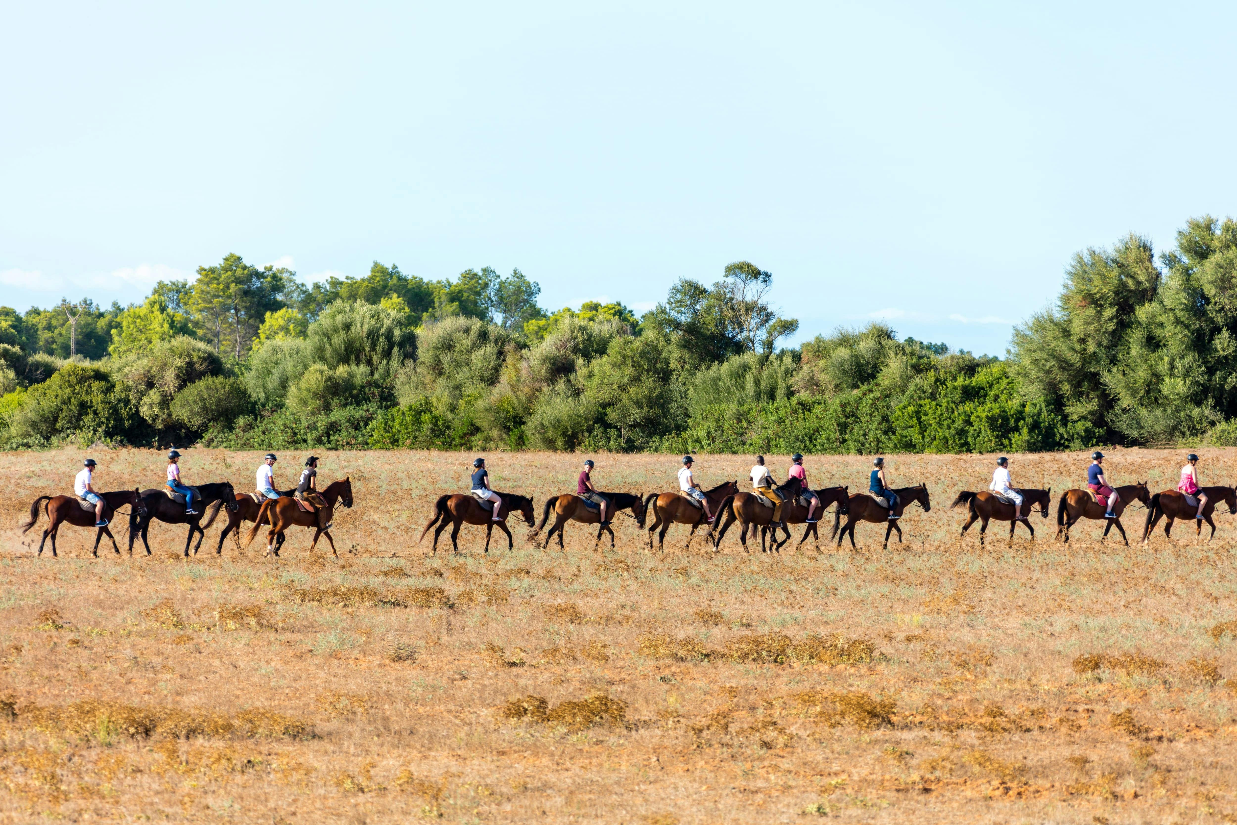 Rancho Grande to timers ridetur uden transport