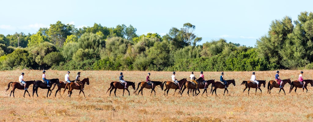 Cavalcata di due ore a Rancho Grande senza trasferimento