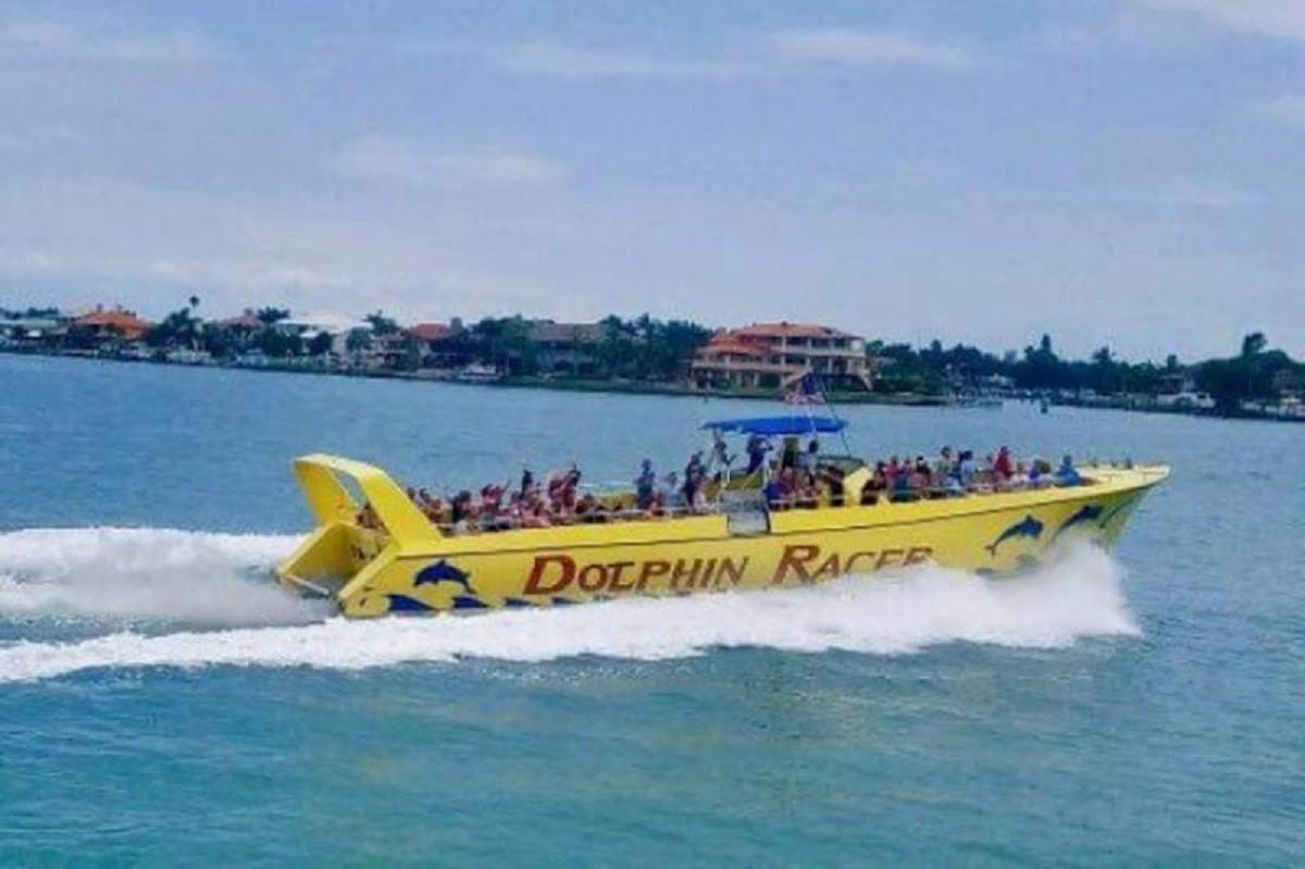 St Petersburg dolphin racer speedboat tour Musement