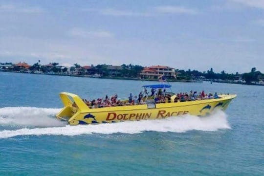 Excursión en lancha motora de carreras de delfines por San Petersburgo