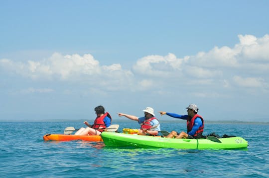 Excursión de medio día en kayak y snorkel por la bahía de Biesanz con transporte