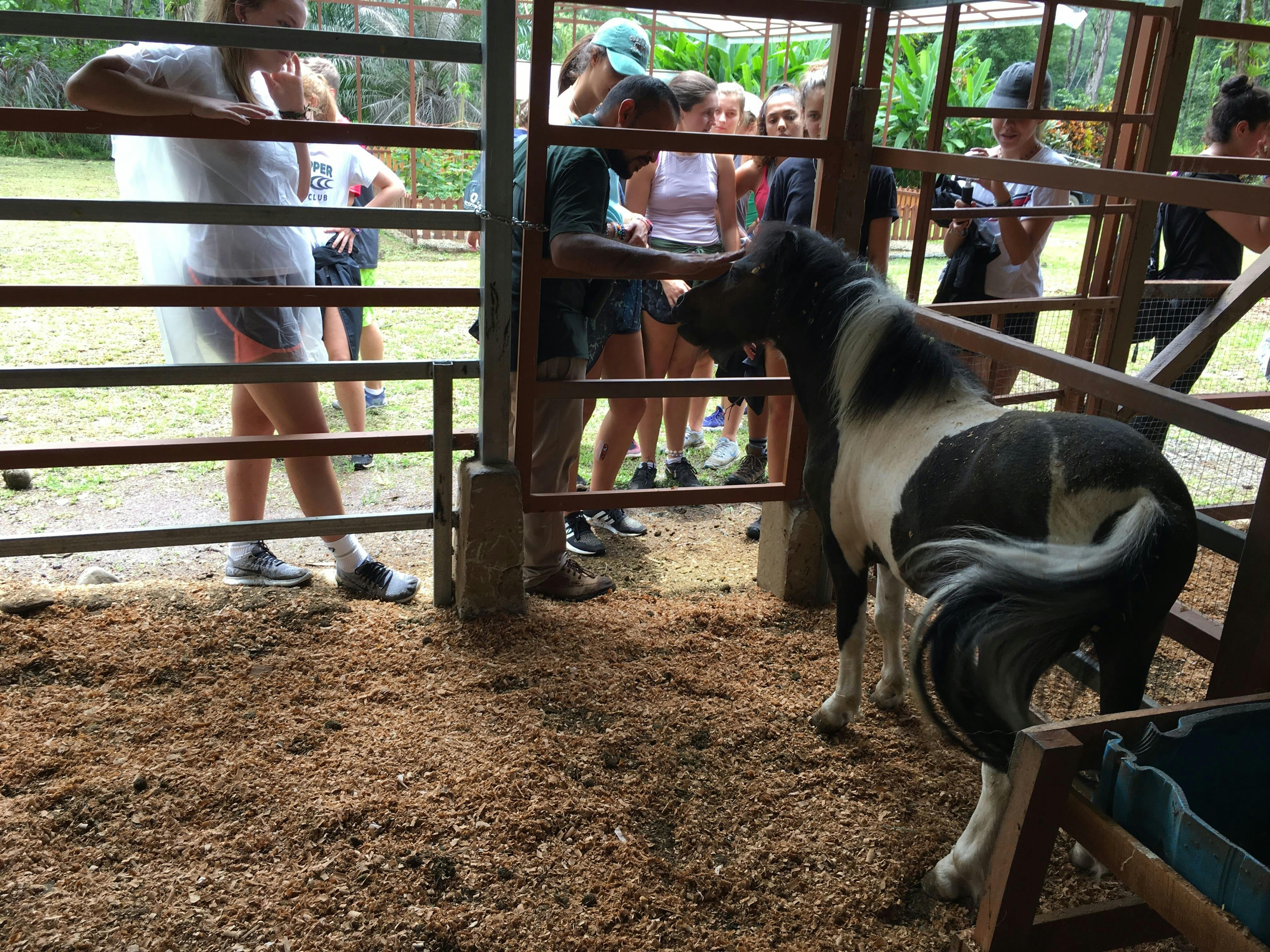 Quepos Farmers Market Tour & Cooking Class