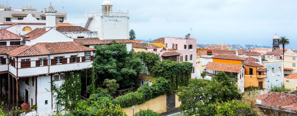 Tenerife Island Tour from the South