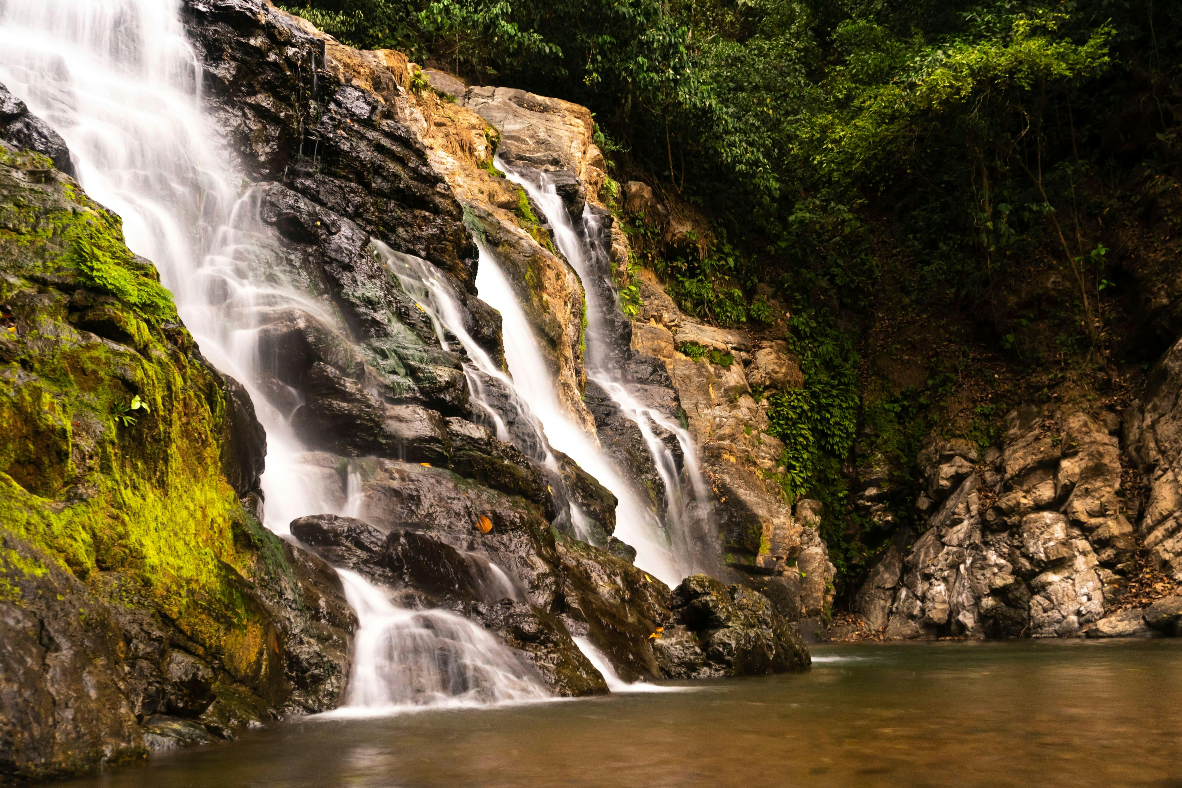 Savegre River White Water Rafting Experience