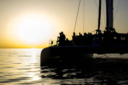 Majorca Dolphin Watching Cruise