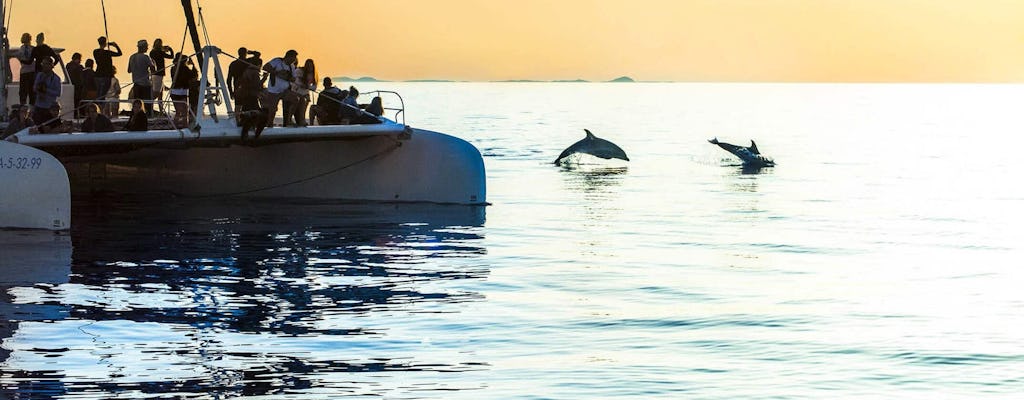 Rejs Mayurca Yachting z obserwowaniem delfinów