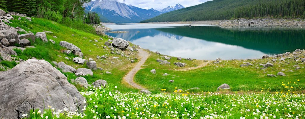 Wildtier- und Wasserfalltour im Maligne Valley mit Wanderung am See