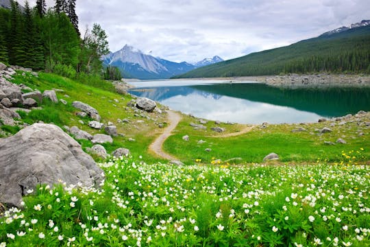 Maligne Valley wildlife and waterfalls tour with lakeside hike