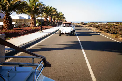 Rising Phoenix Buggy Tour