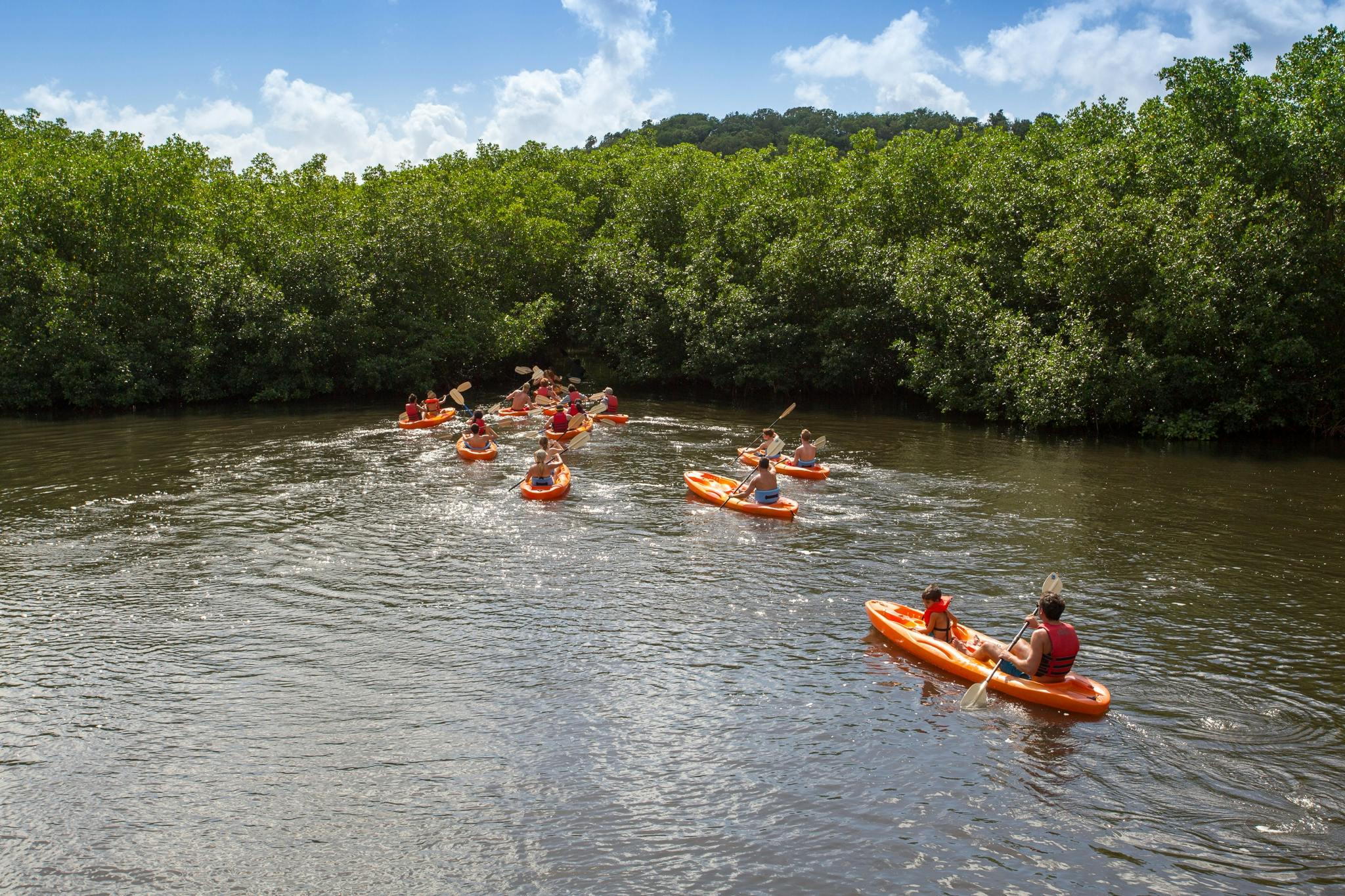 Jeep safari mangrove lagoon kayaking and reef snorkeling Musement