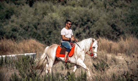 Sarıgerme Reiterlebnis