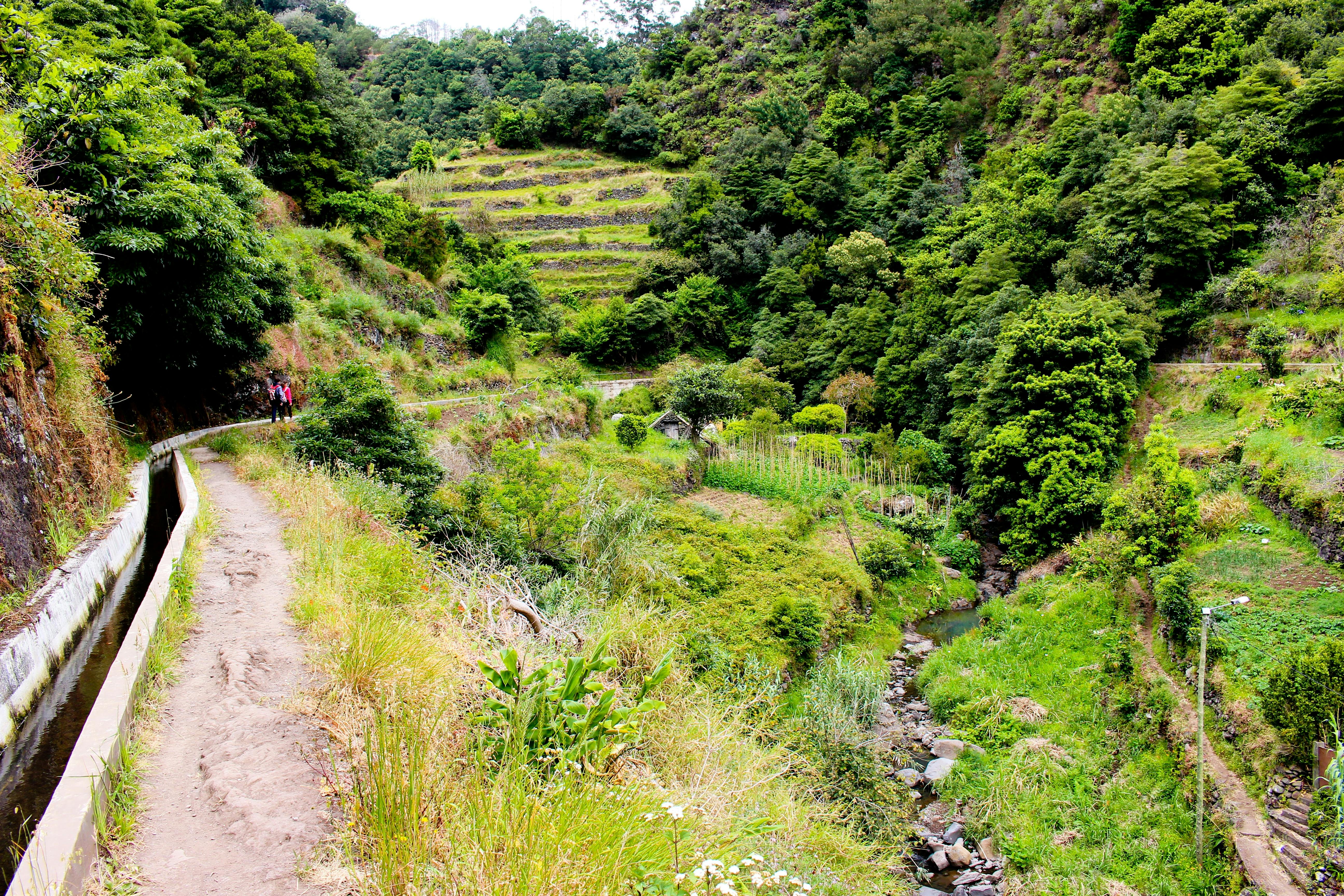 Geführte Wanderung von Maroços nach Mimosa Valley auf Madeira