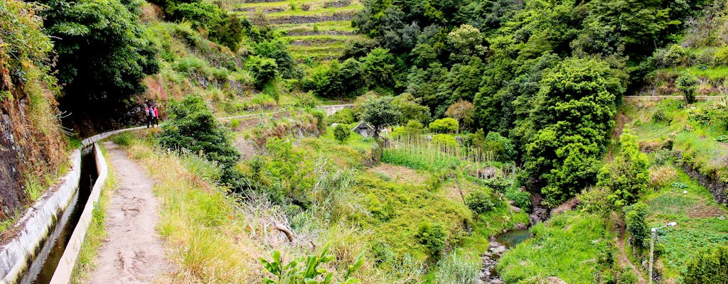 Excursión guiada de senderismo de Maroços a Mimosa Valley en Madeira
