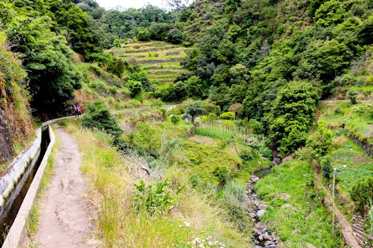 Escursione guidata da Maroços alla Valle della Mimosa a Madeira
