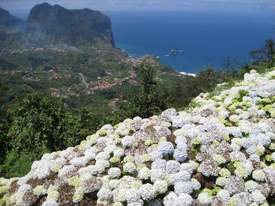 Referta a Castelejo Escursione guidata a Madeira