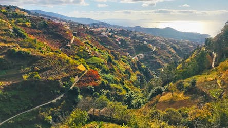 Tour guiado de senderismo por la Levada do Norte en Madeira