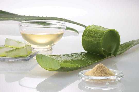 Bodrum Turkish bath with aloe vera massage