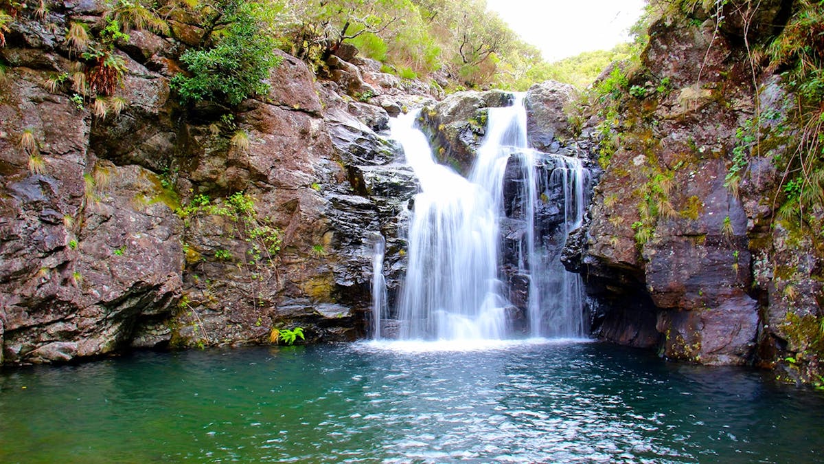 Dagexcursie naar de meren van Madeira