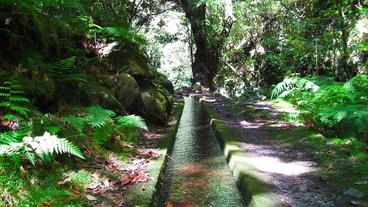 Hidden corners of King's Levada hiking tour Musement