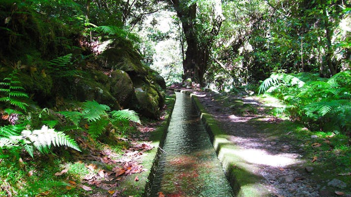 Rincones ocultos de la ruta de senderismo King's Levada