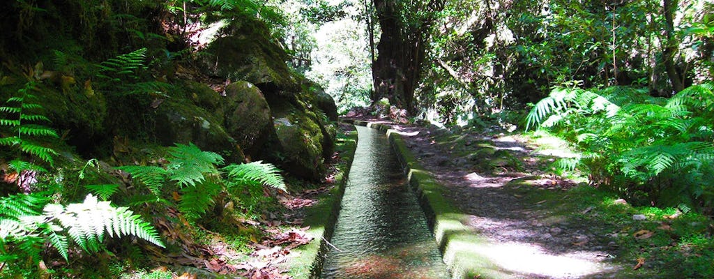 Rincones ocultos de la ruta de senderismo King's Levada