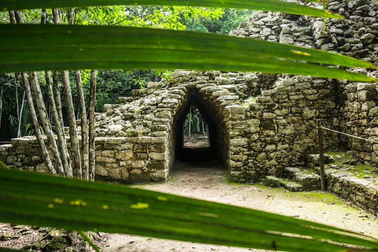 Mayan inland expedition with Coba and Punta Laguna