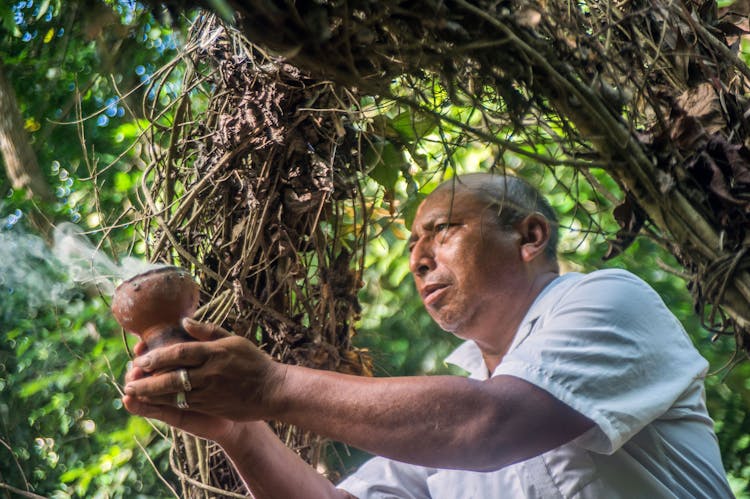 Mayan inland expedition with Coba and Punta Laguna