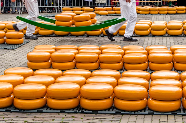 Alkmaar Kaasmarkt
