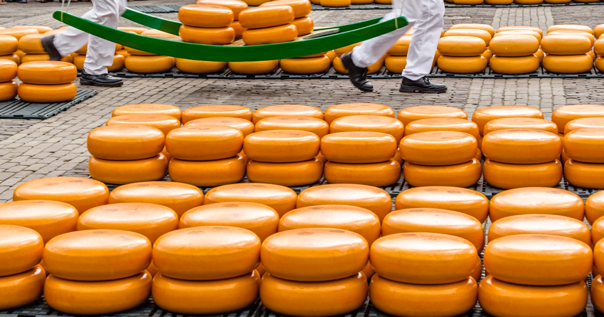 Alkmaar Cheese Market Tours and Tickets Alkmaar Cheese Market Tours and Tickets