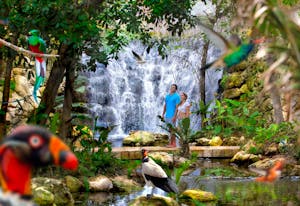 Parques Temáticos em Cancún