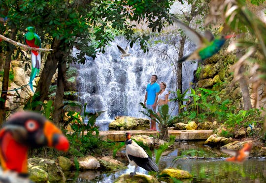 Parques temáticos en Cancún: Entradas