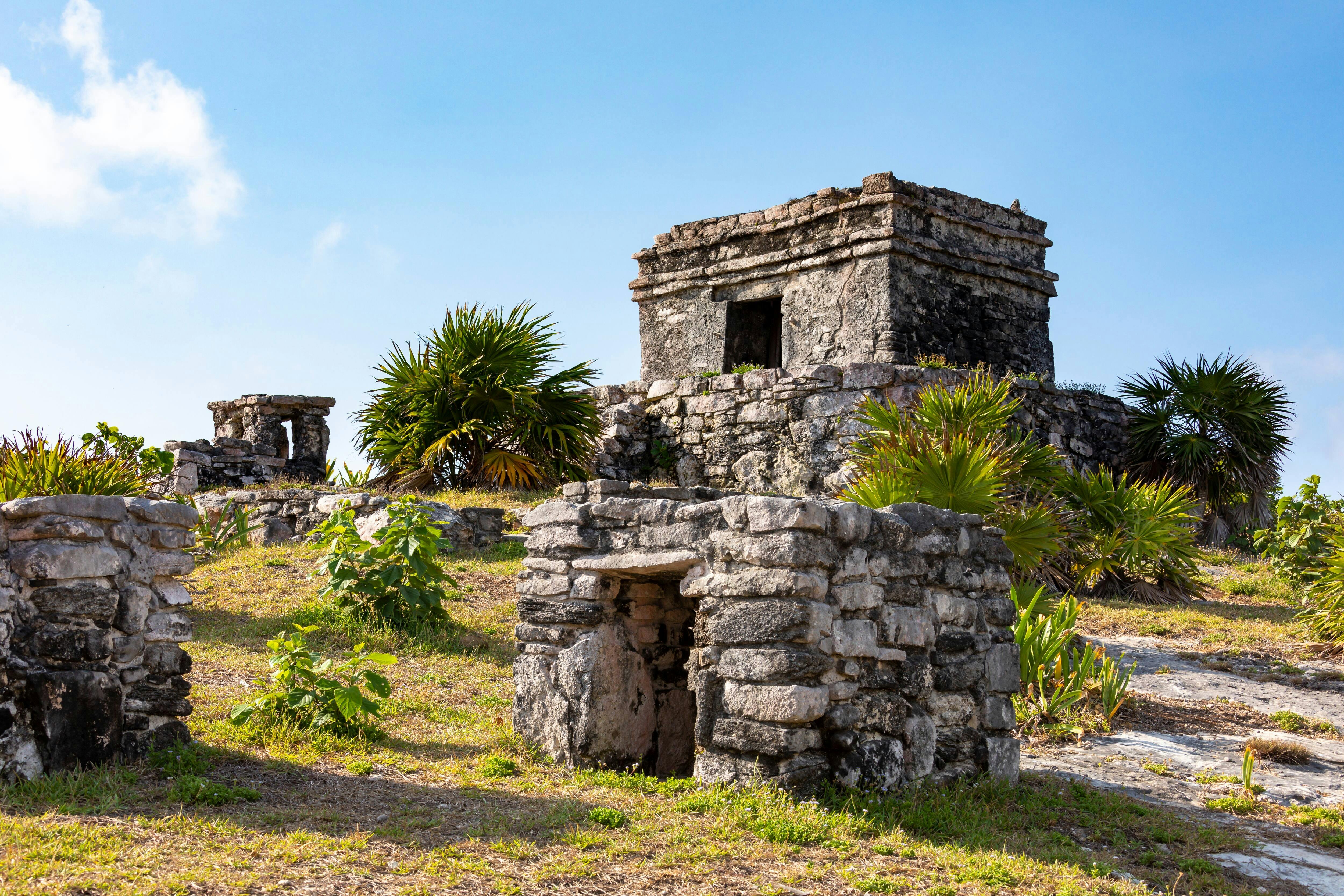 Journée d'excursion en pleine nature à Tulum et à Xel-Há