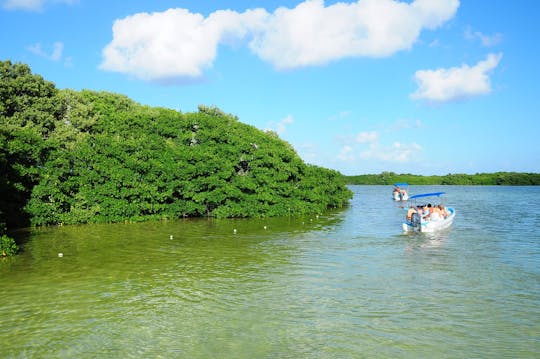 Sian Ka'an Safari Tour and Boat Trip