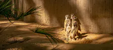 Zoo Barcelona