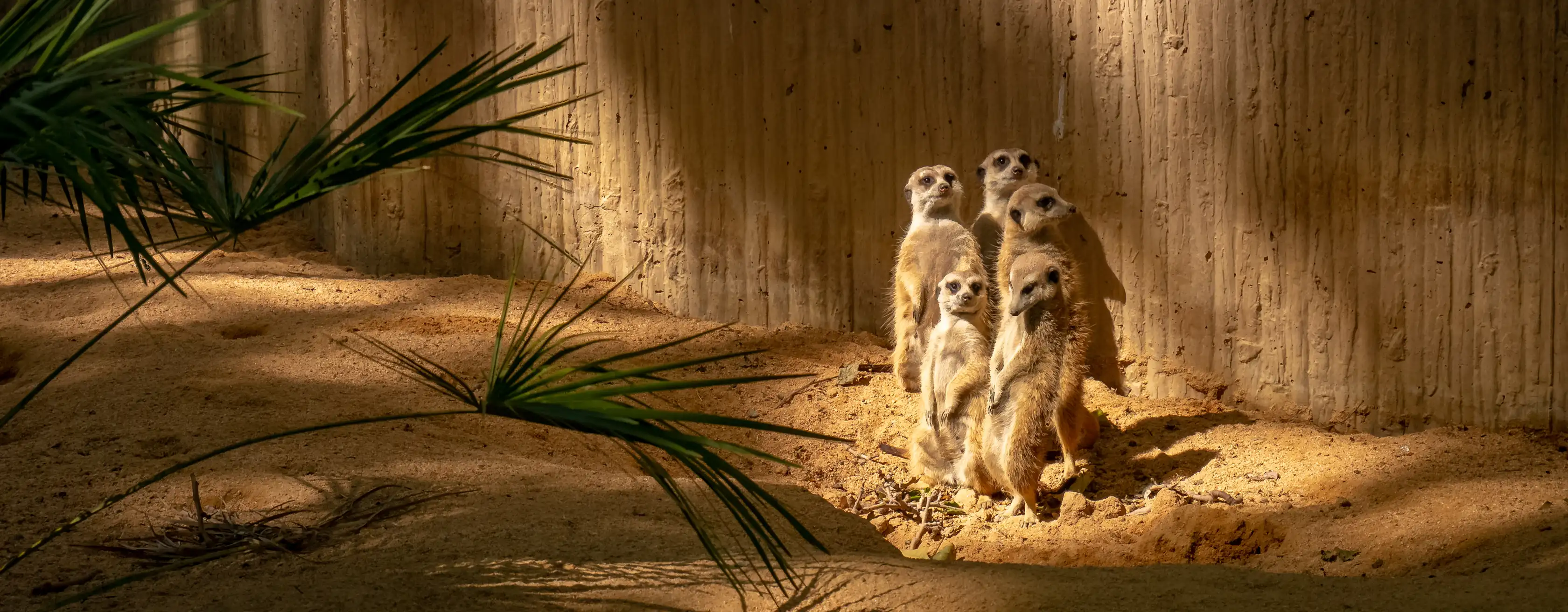 Zoo de Barcelone : billets et visites