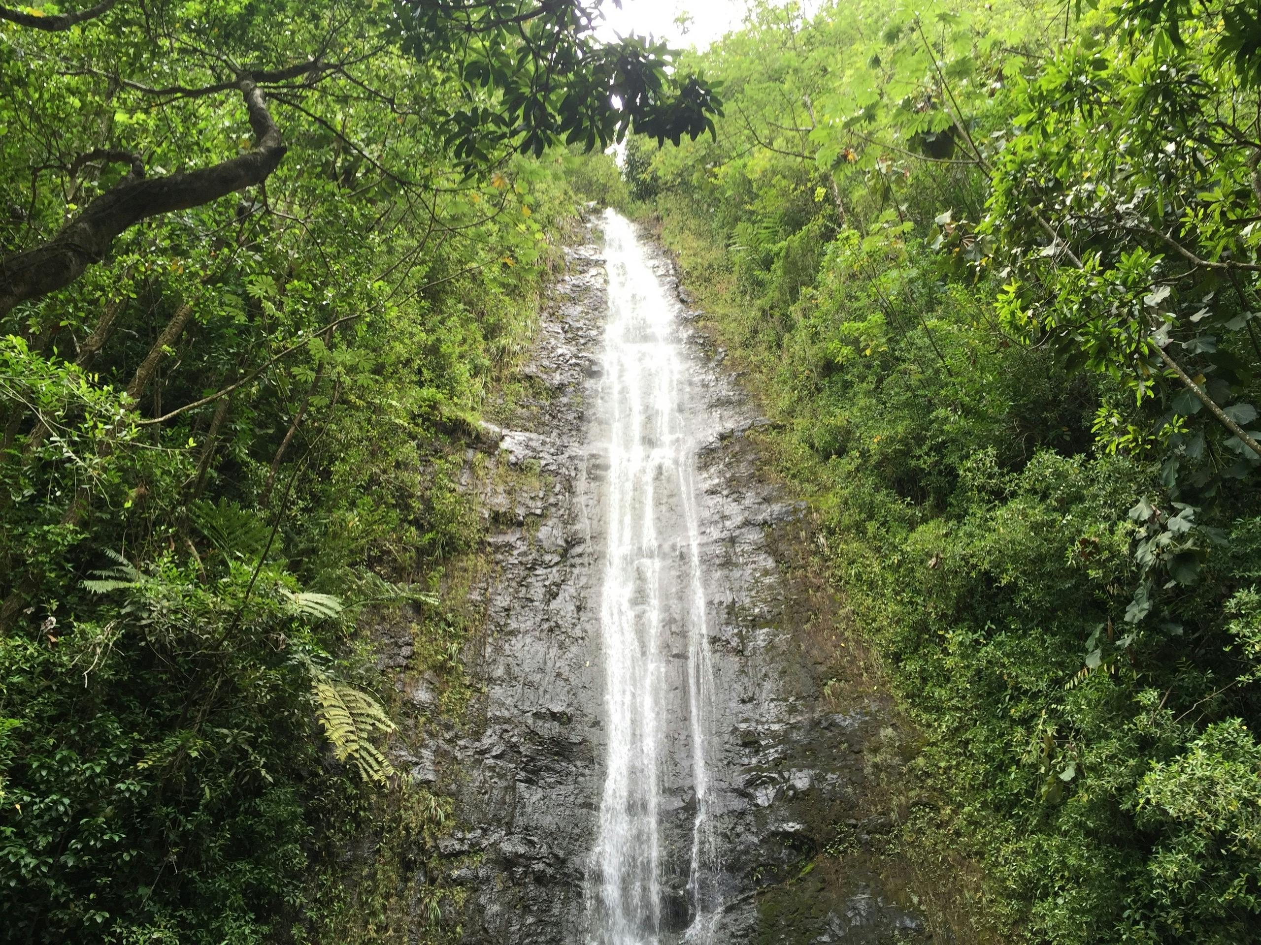 Ohau guided Hawaii's rainforest hike Musement