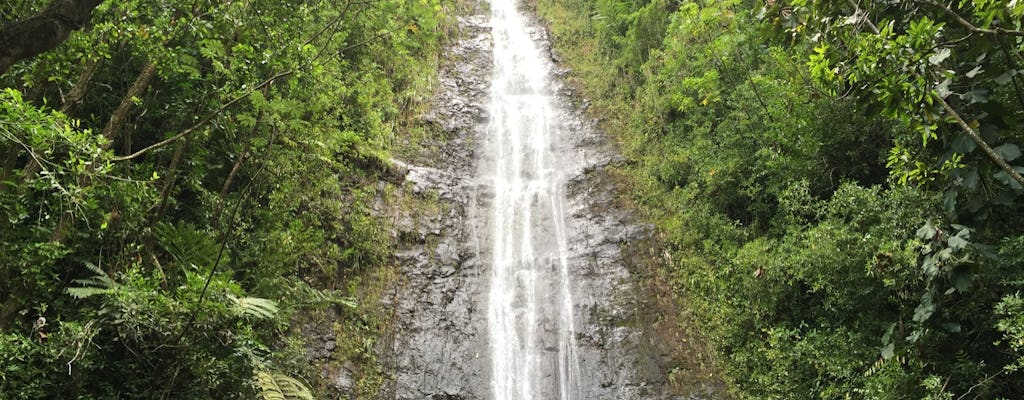 Ohau guided Hawaii's rainforest hike