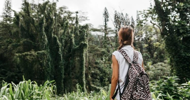 Ohau guided Hawaii's rainforest hike