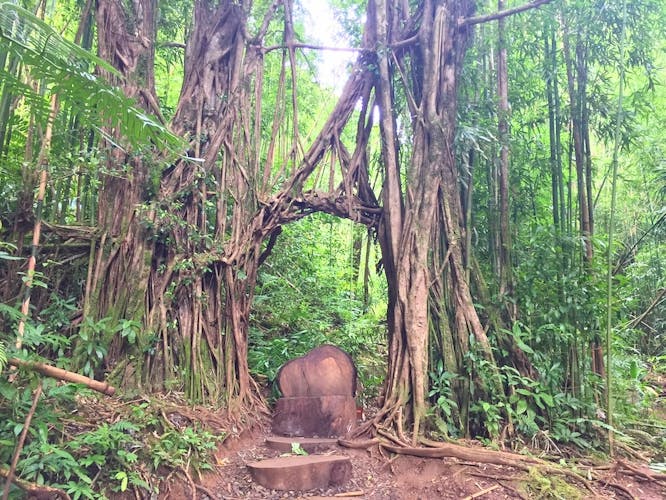 Ohau guided Hawaii's rainforest hike